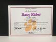 画像7: ガーフィールド オーディー ヴィンテージ Danbury Mint ダンバリーミント 1993s [Easy Rider] シリアルナンバーカード付 フィギュア 置物 USA GARFIELD (7)