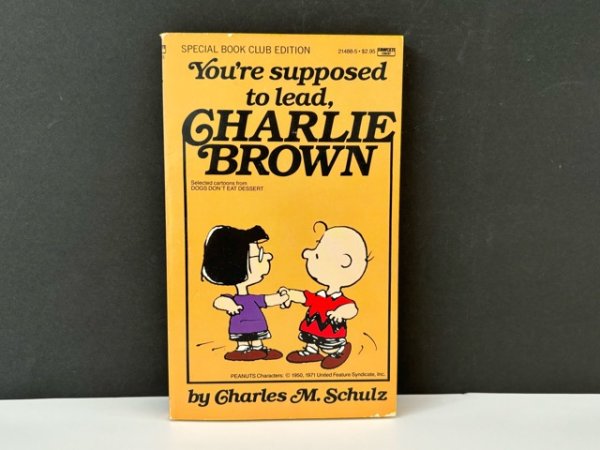 画像1: 1980's ヴィンテージ PEANUTS BOOK コミック 本 1980年代 洋書 vintage スヌーピー  (1)