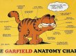 画像2: ガーフィールド Garfield ヴィンテージ ポスター poster USA (2)