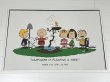 画像1: レア 特大 900×600サイズ 1994's 植樹祭 スヌーピー PEANUTS ヴィンテージ ポスター USA SNOOPY PEANUTS (1)