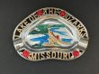 画像1: USA ヴィンテージ スーベニア アッシュトレイ ミズーリ州 Missouri 灰皿 1950s 1960s vintage souvenir Antique ashtray (1)