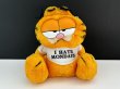 画像1: USA ヴィンテージ ガーフィールド ぬいぐるみ Garfield 1980s (1)