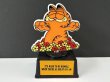 画像1: ヴィンテージ ガーフィールド トロフィー AVIVA vintage Garfield USA (1)