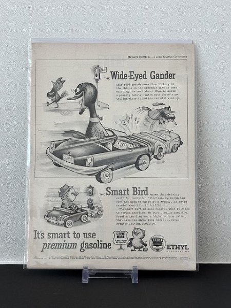 画像1: ビンテージ LIFE誌 1955年 ビンテージ広告 切り取り アドバタイジング ポスター (1)