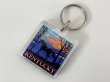 画像1: ヴィンテージ souvenir KENTUCKY ケンタッキー スーベニア キーホルダー USA  (1)