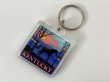 画像3: ヴィンテージ souvenir KENTUCKY ケンタッキー スーベニア キーホルダー USA  (3)