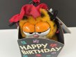画像2: USA ヴィンテージ ガーフィールド ぬいぐるみ Garfield 1980s (2)