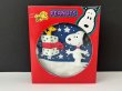画像1: 箱付き ヴィンテージ スヌーピー ウッドストック 壁掛け飾り オーナメント SNOOPY PEANUTS USA  (1)