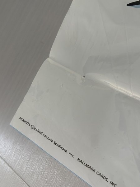 画像6: PEANUTS BANNER バナー スヌーピー チャーリーブラウン ルーシー ウッドストック ヴィンテージ (6)