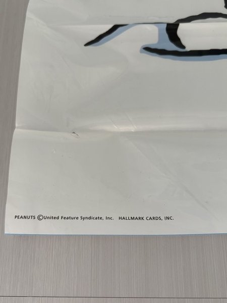 画像5: PEANUTS BANNER バナー スヌーピー チャーリーブラウン ルーシー ウッドストック ヴィンテージ (5)