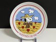 画像2: ヴィンテージ スヌーピー 1982年 Schmid コレクター メモリアルプレート vintage snoopy  (2)