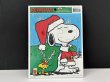 画像1: デッドストック 未開封 PEANUTS スヌーピー パズル ヴィンテージ vintage USA SNOOPY (1)