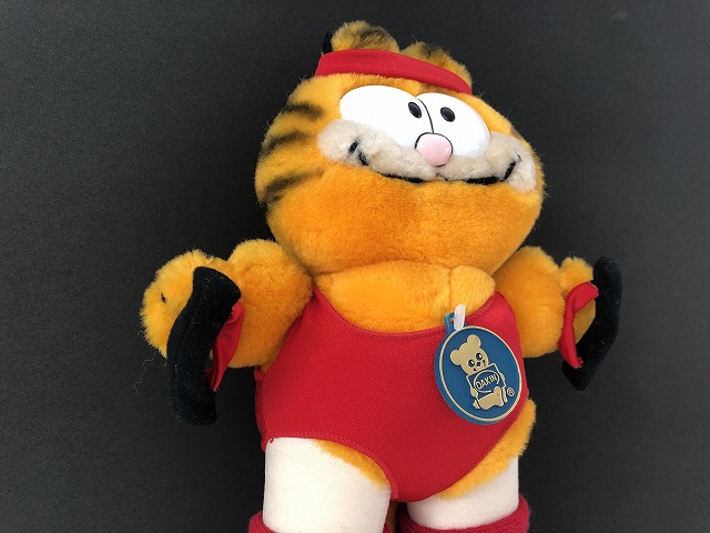 ずいぶん Garfield ゴーグルの通販 by Latisha Luna's shop｜ラクマ